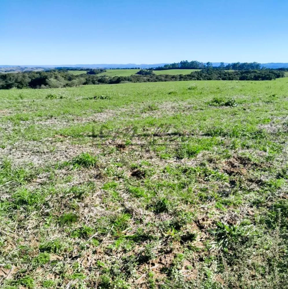 Fazenda, 375 m² - Foto 1