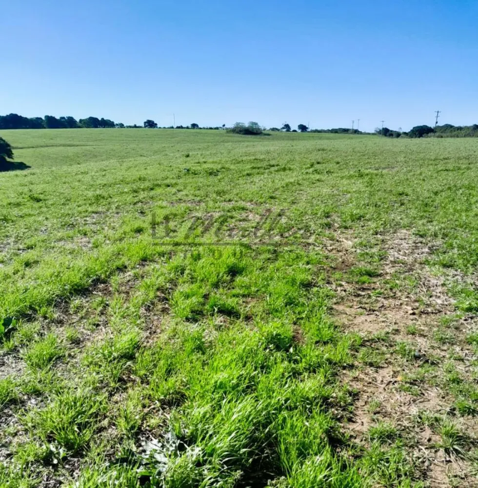 Fazenda, 375 m² - Foto 6