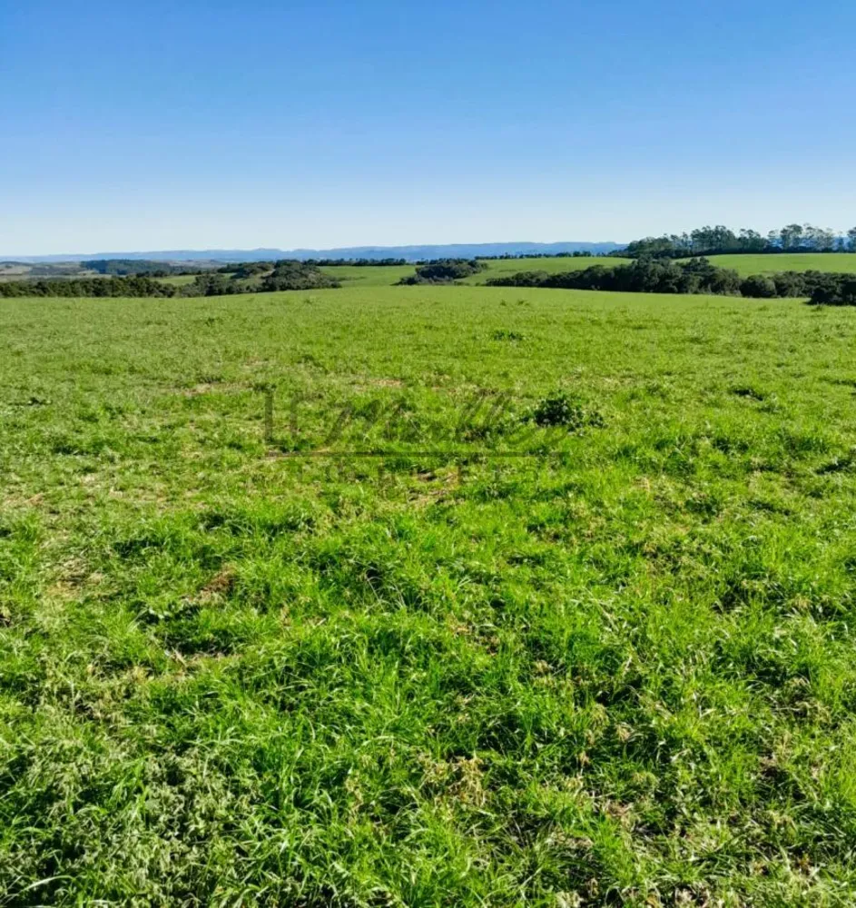 Fazenda, 375 m² - Foto 7