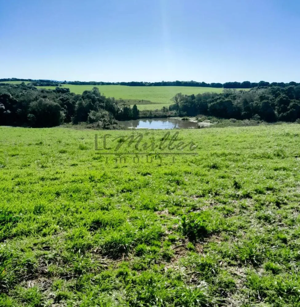 Fazenda, 375 m² - Foto 5