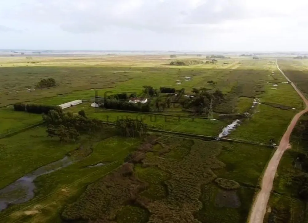 Fazenda, 2300 m² - Foto 7