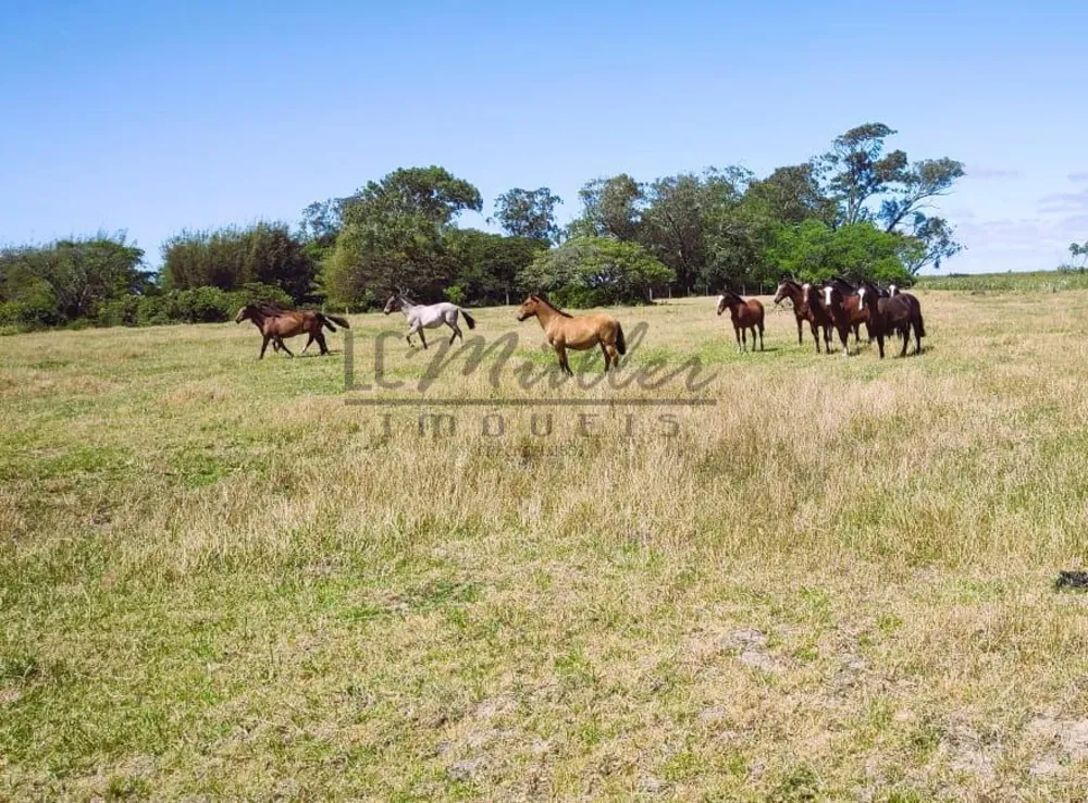 Fazenda, 2300 m² - Foto 8