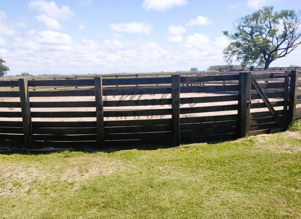 Fazenda, 2300 m² - Foto 9