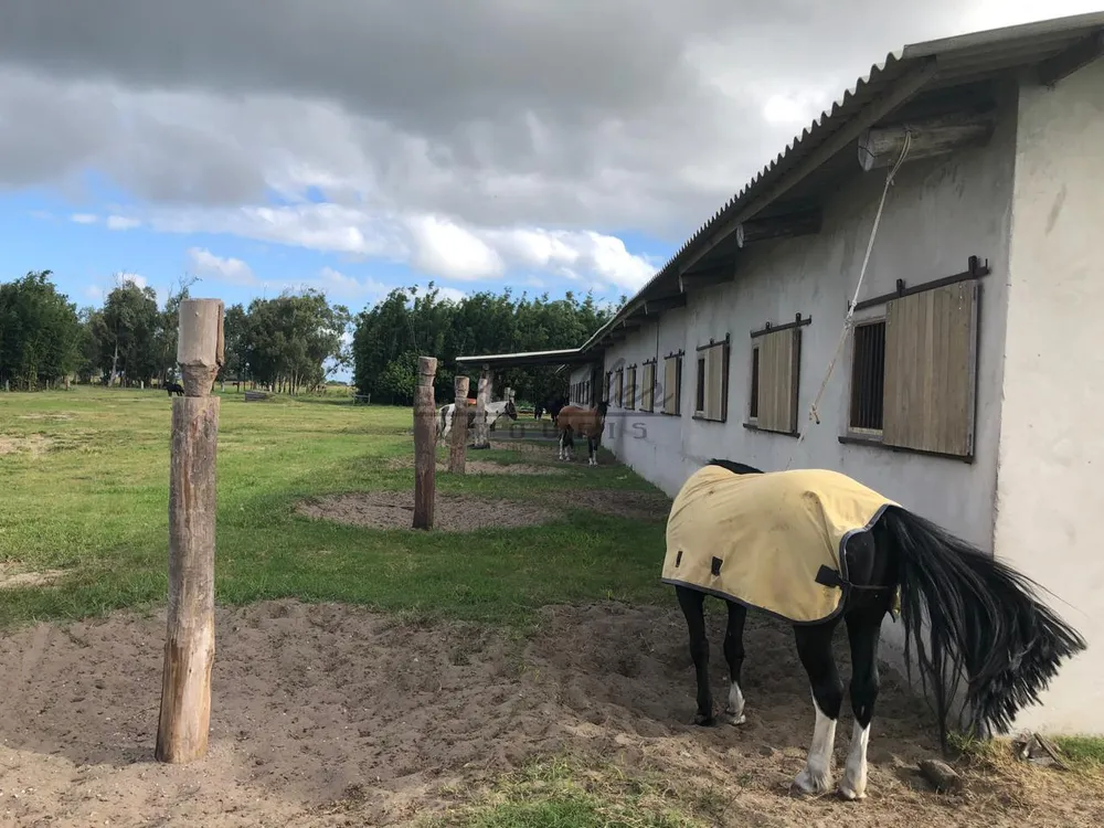 Fazenda, 2300 m² - Foto 10