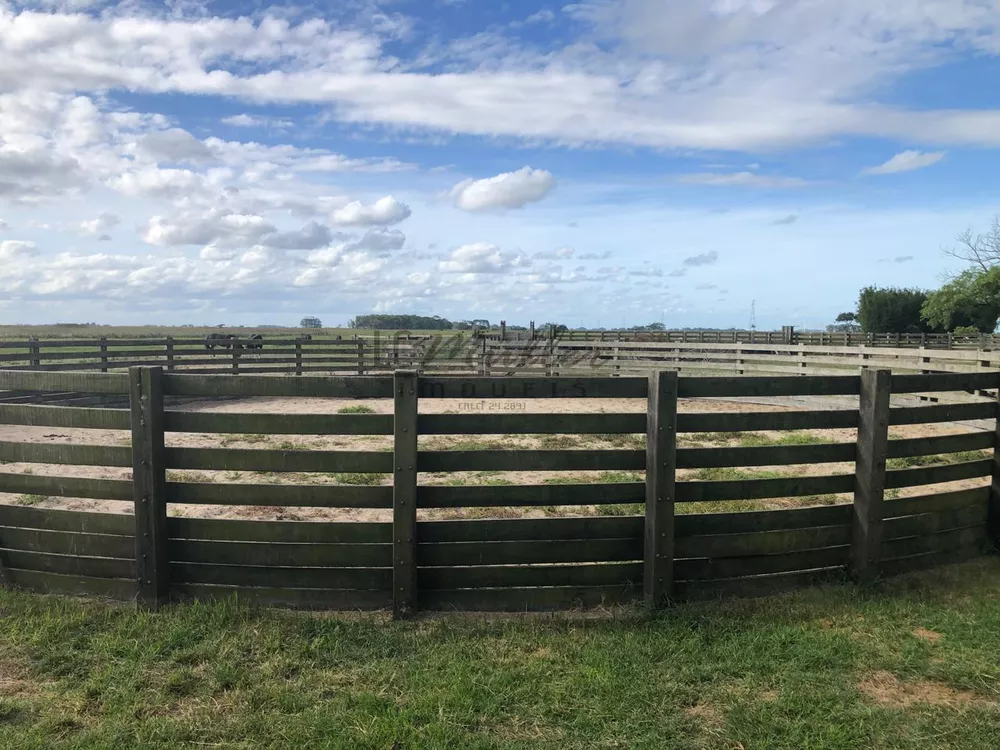 Fazenda, 2300 m² - Foto 7