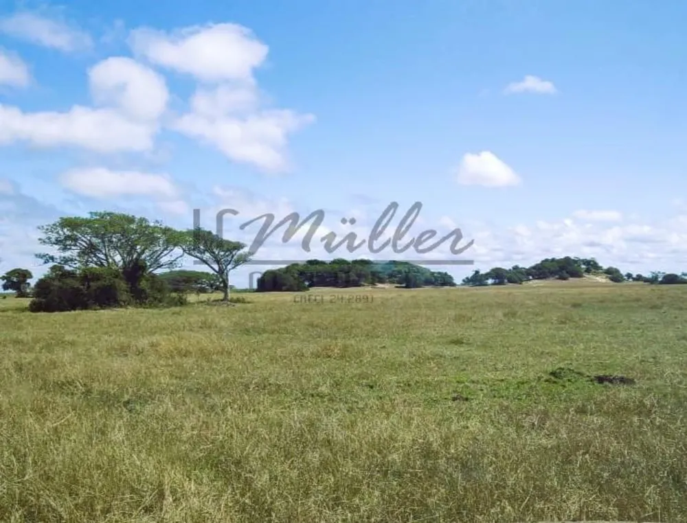 Fazenda, 2300 m² - Foto 6