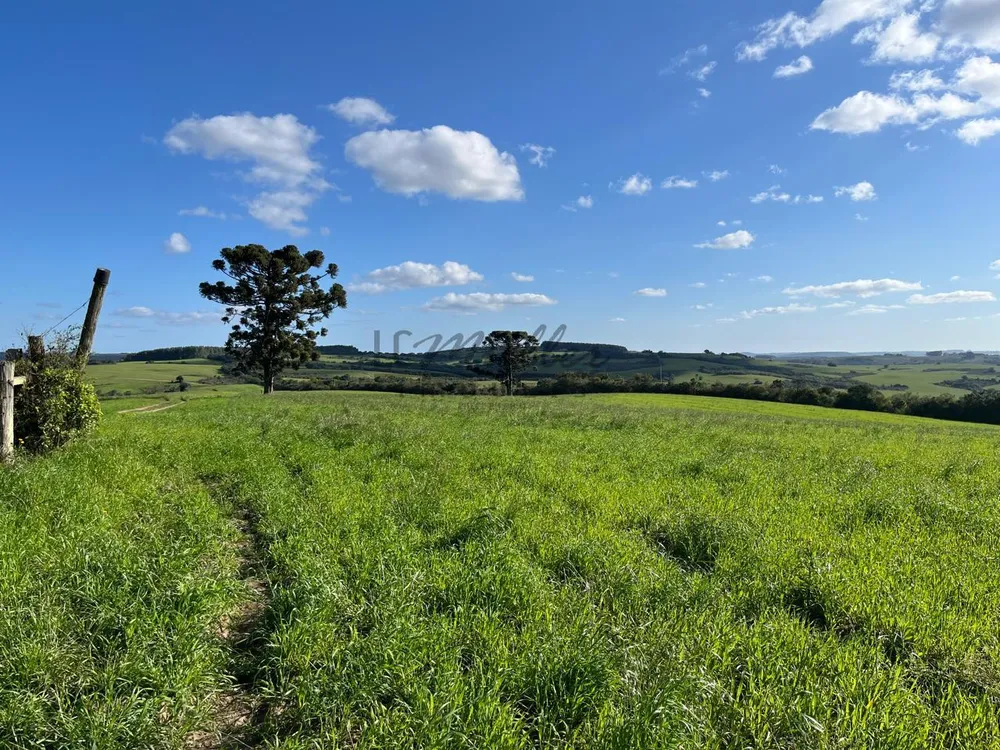 Fazenda, 900 m² - Foto 23