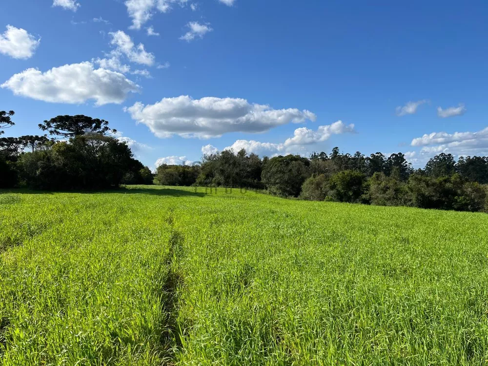 Fazenda, 900 m² - Foto 6