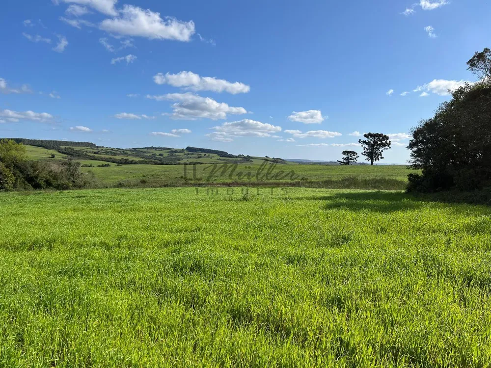 Fazenda, 900 m² - Foto 2