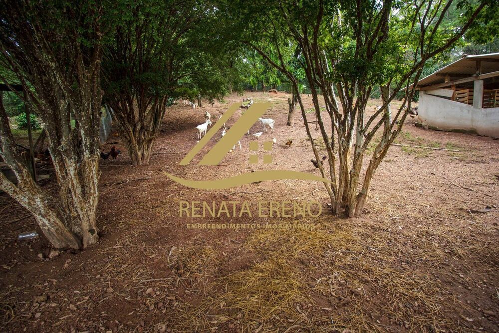 Sítio, 7 quartos, 3 hectares - Foto 2