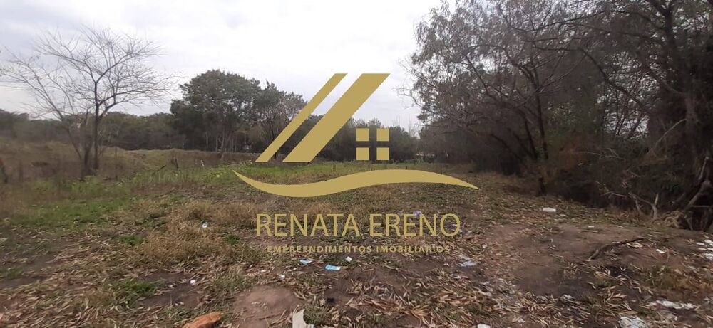 Terreno, 2 hectares - Foto 4