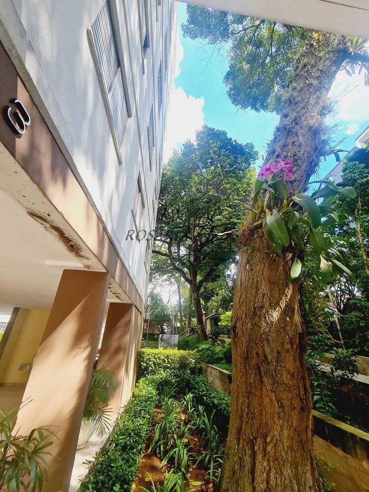 Apartamento à venda com 3 quartos, 78m² - Foto 10