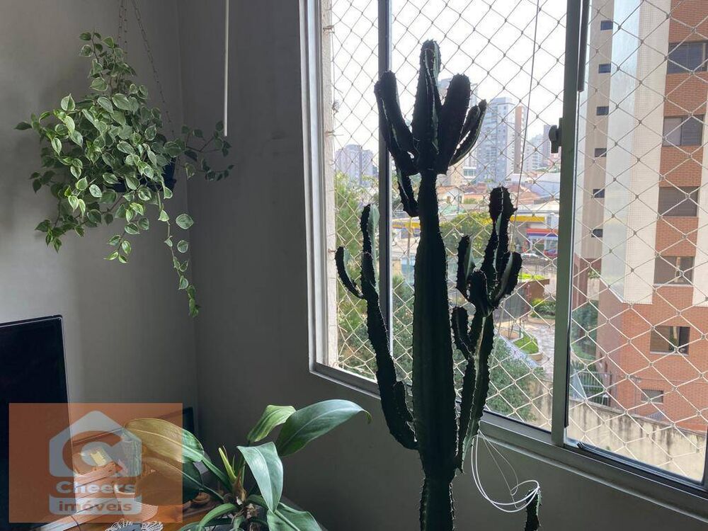 Apartamento à venda com 3 quartos, 69m² - Foto 6