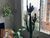 Apartamento, 3 quartos, 69 m² - Foto 6