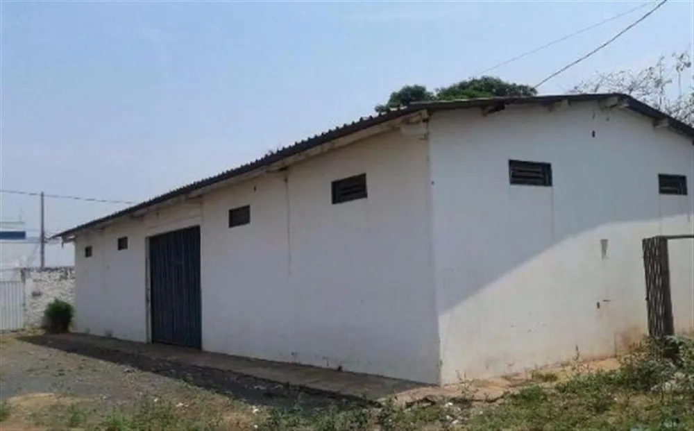 Apartamento - Foto 4