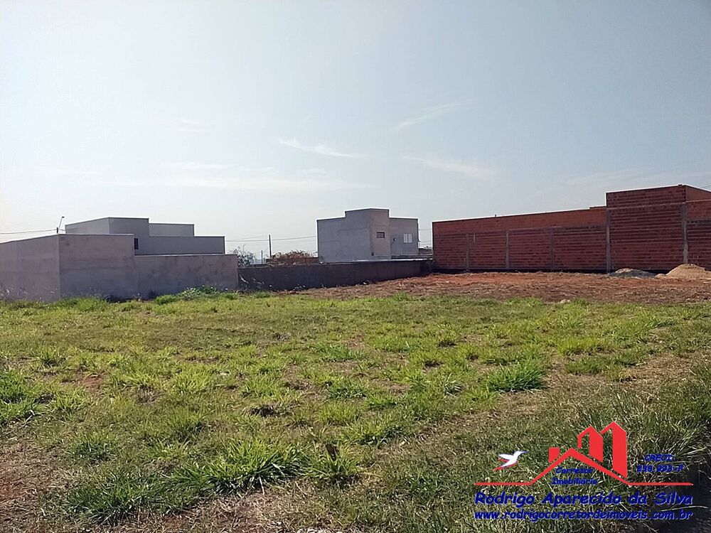 Terreno à venda, 250m² - Foto 2