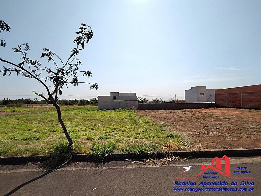 Terreno, 250 m² - Foto 13