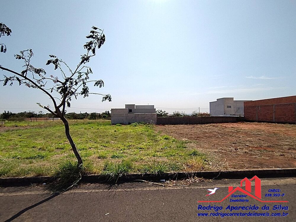 Terreno à venda, 250m² - Foto 3