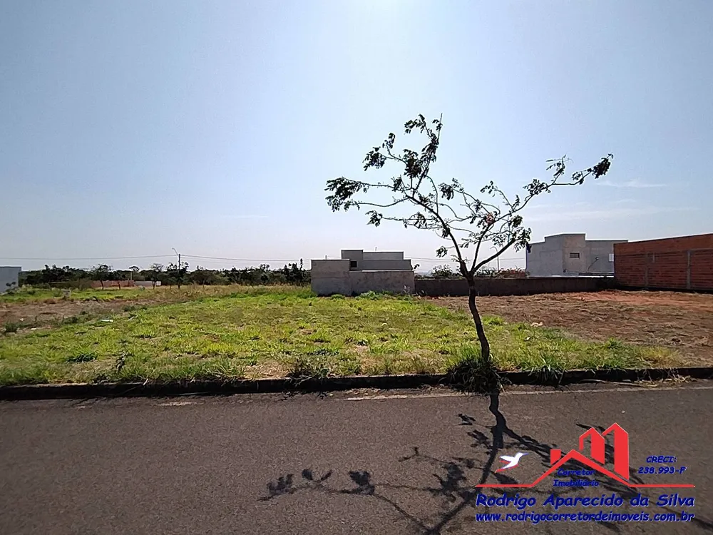 Terreno, 250 m² - Foto 9