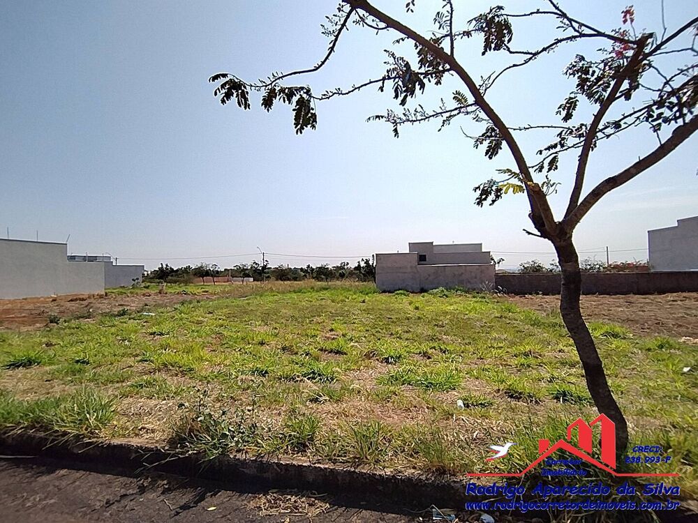 Terreno, 250 m² - Foto 1