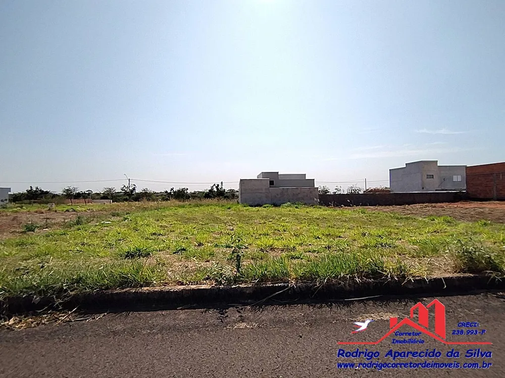 Terreno, 250 m² - Foto 12