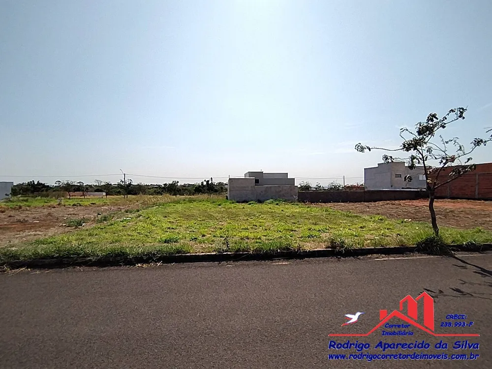 Terreno, 250 m² - Foto 14