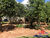 Chácara, 2 quartos - Foto 4