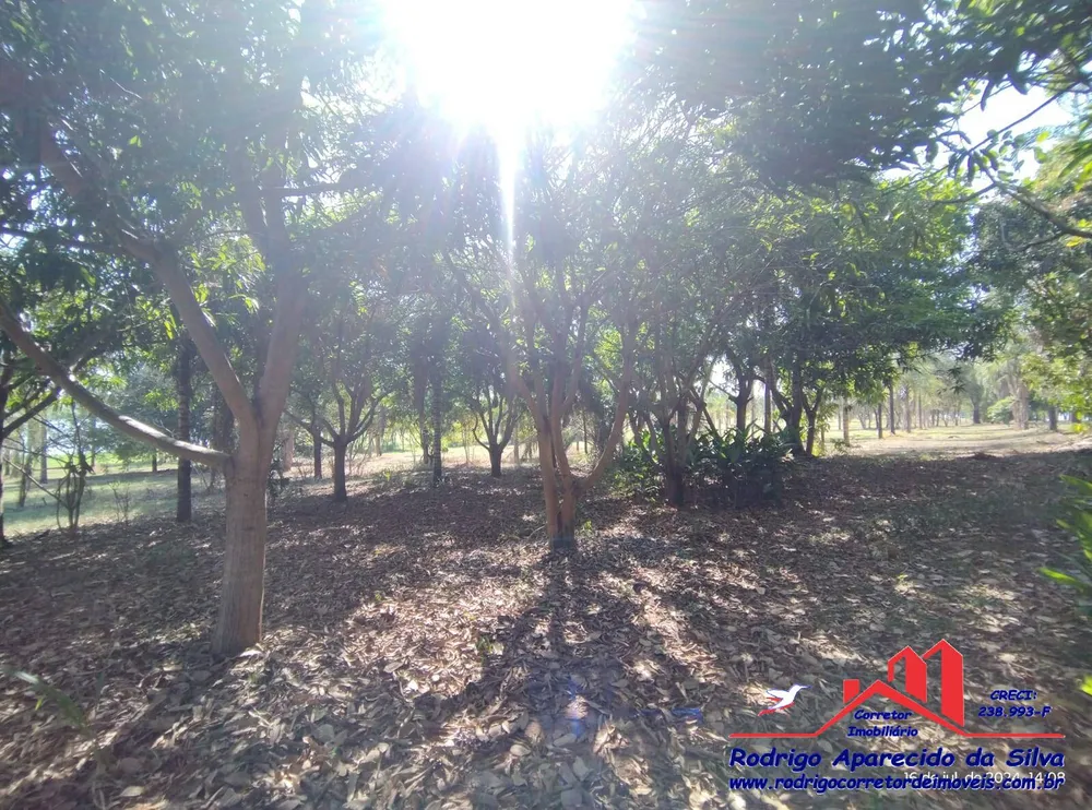 Chácara, 2 quartos, 1000 m² - Foto 10
