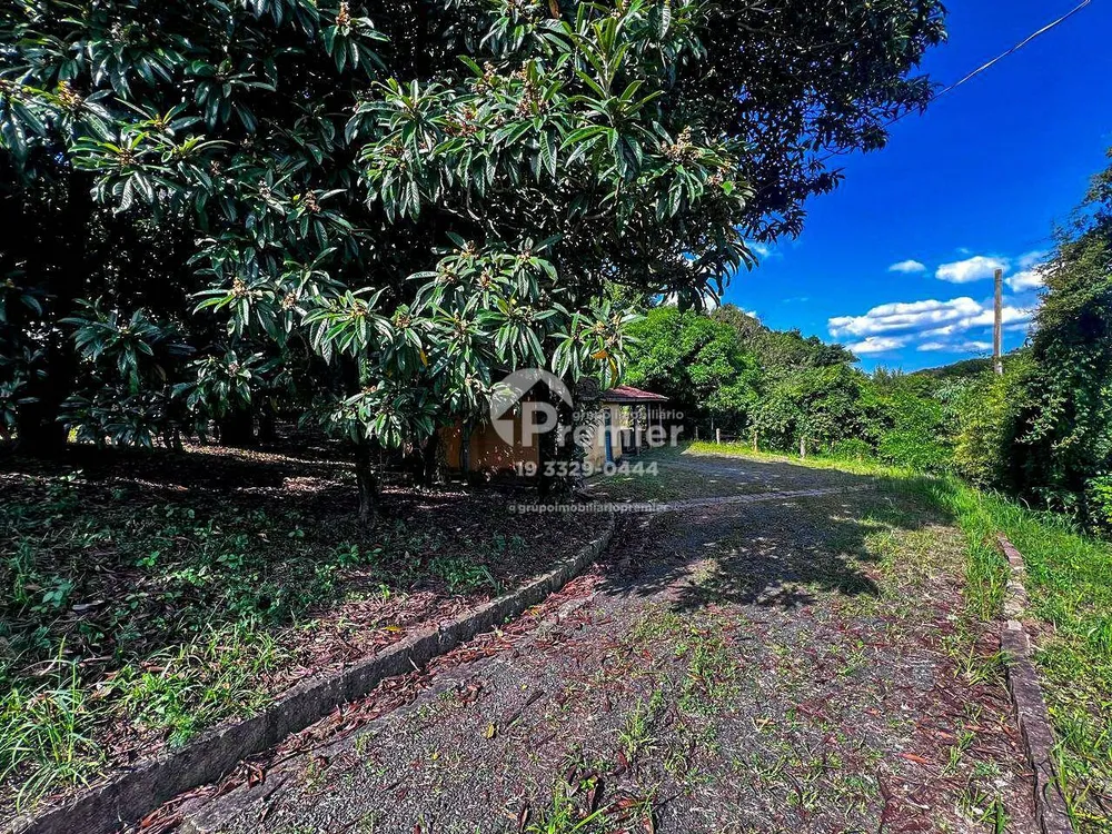 Terreno, 11 hectares - Foto 4