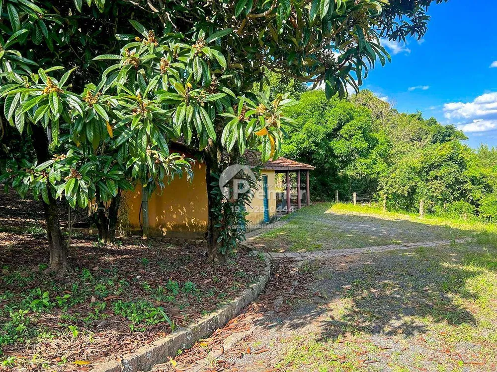 Terreno, 11 hectares - Foto 6