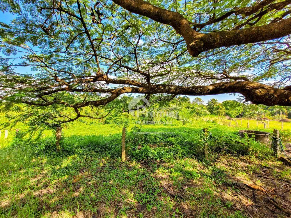 Terreno, 11 hectares - Foto 7