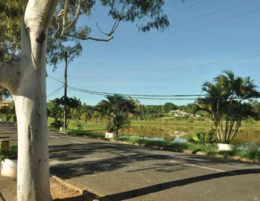 Chácara, 3 quartos, 5000 m² - Foto 7