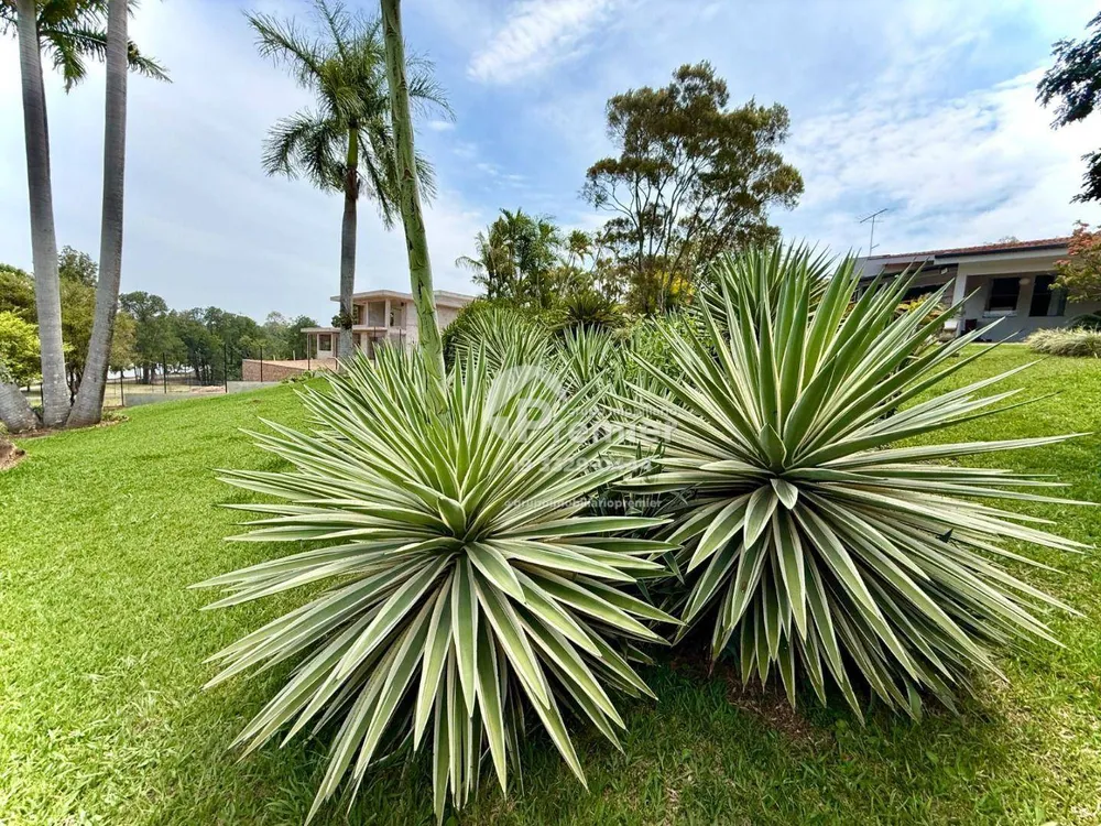 Chácara, 3 quartos, 5000 m² - Foto 5