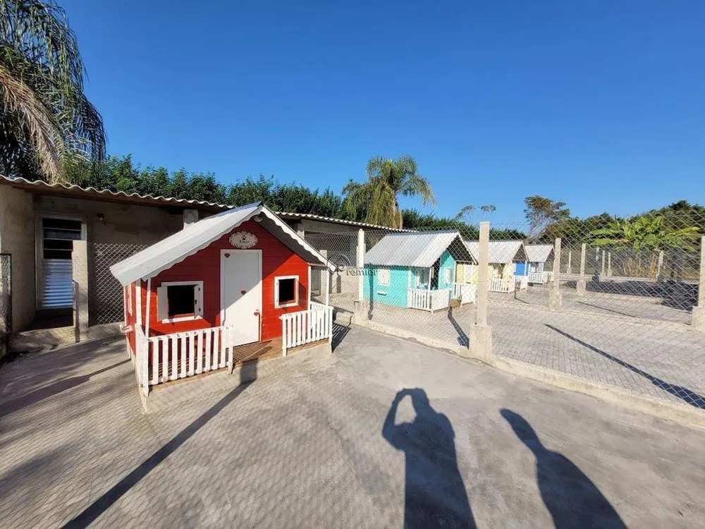 Chácara, 4 quartos, 2 hectares - Foto 7