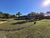 Chácara, 4 quartos, 2 hectares - Foto 3