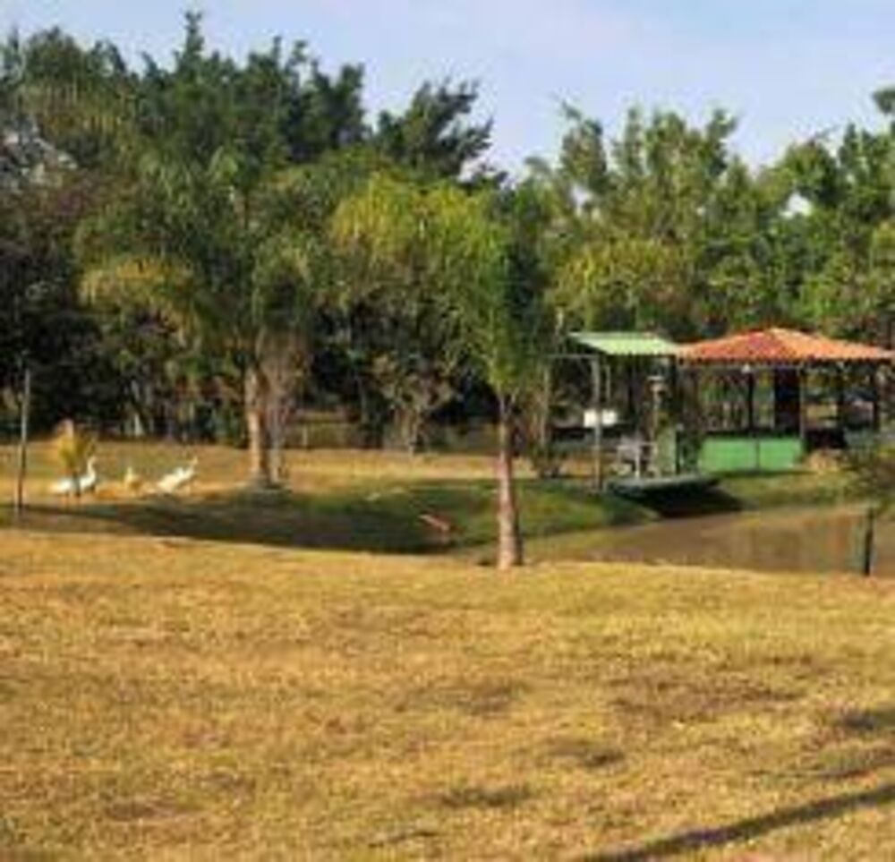 Chácara, 7 quartos, 5000 m² - Foto 50