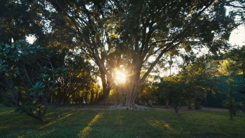 Chácara, 7 quartos, 5000 m² - Foto 42