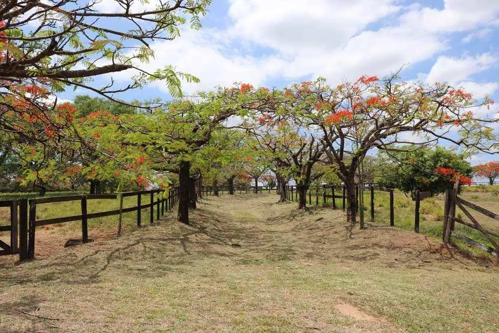 Loteamento e Condomínio, 360 m² - Foto 7