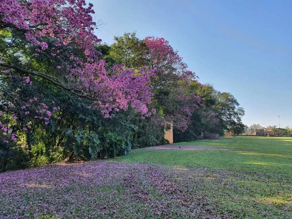 Loteamento e Condomínio, 360 m² - Foto 4