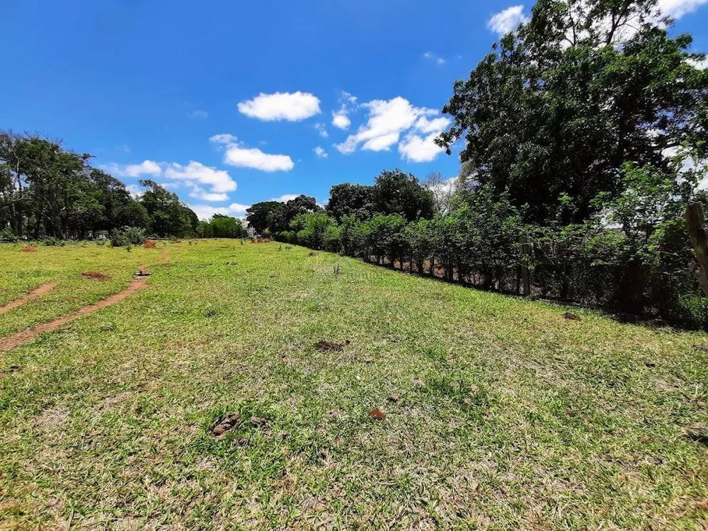 Terreno, 3 hectares - Foto 7