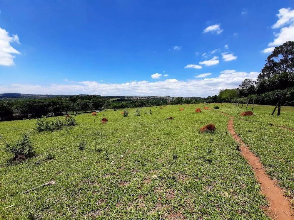 Terreno, 3 hectares - Foto 3