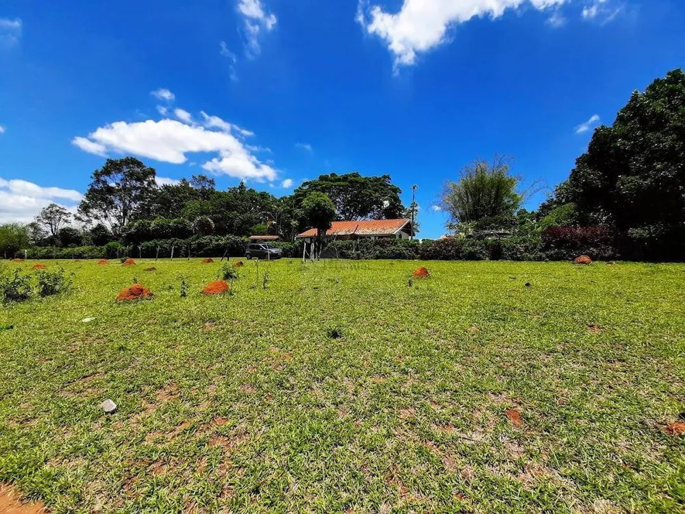 Terreno, 3 hectares - Foto 2