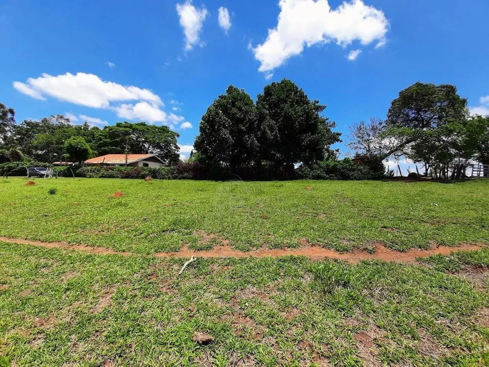 Terreno, 3 hectares - Foto 6