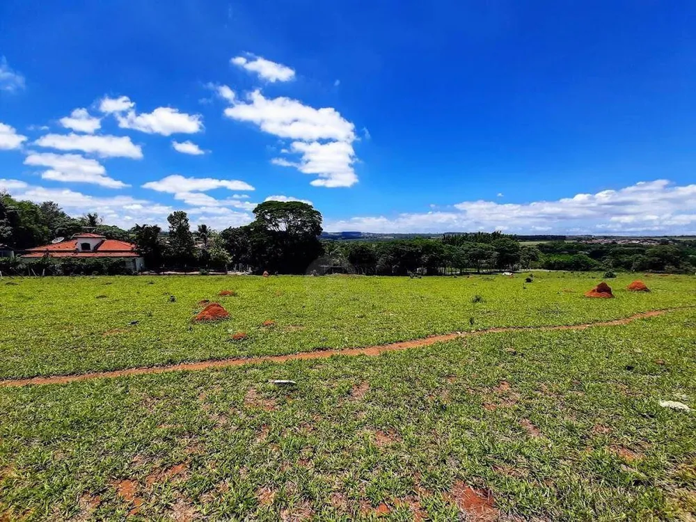 Terreno, 3 hectares - Foto 4