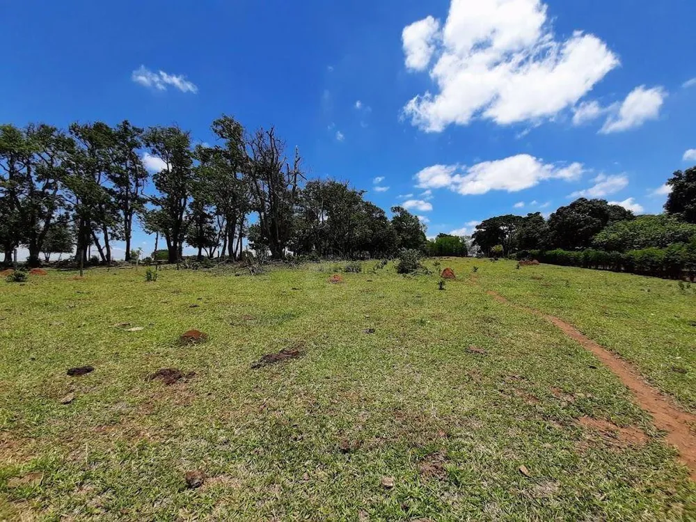 Terreno, 3 hectares - Foto 12