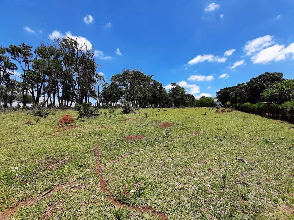 Terreno, 3 hectares - Foto 8