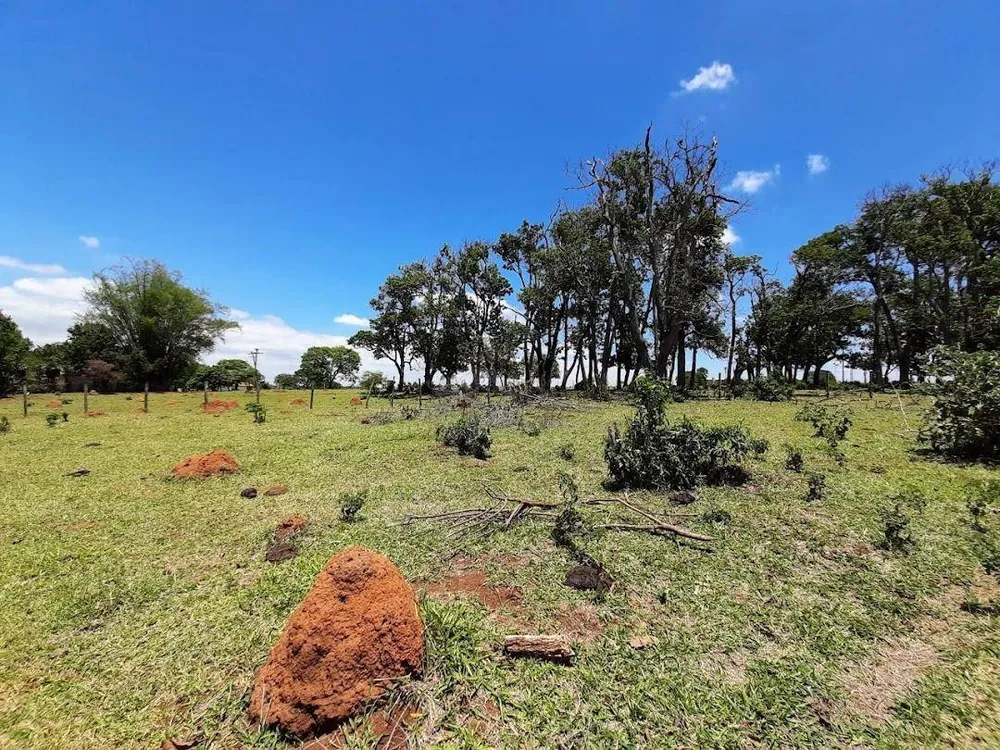 Terreno, 3 hectares - Foto 11
