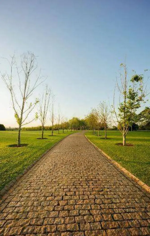 Loteamento e Condomínio, 479 m² - Foto 5