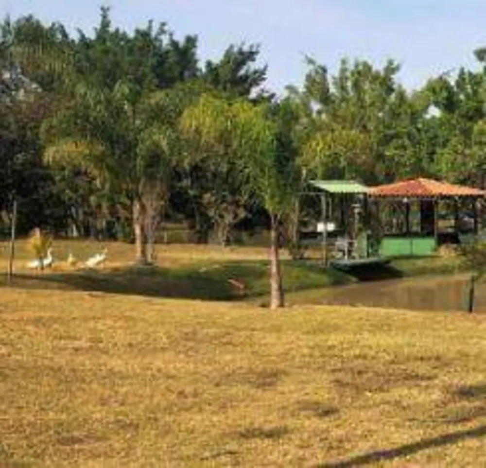 Chácara, 8 quartos, 5000 m² - Foto 11