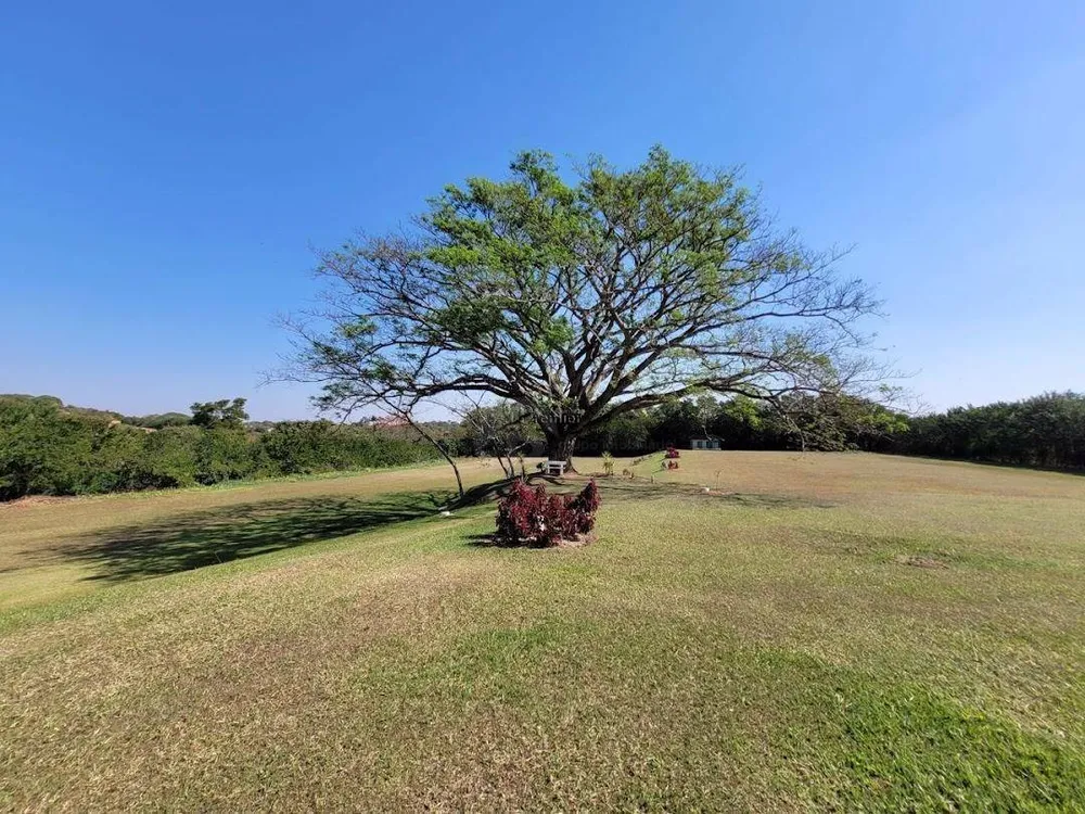 Chácara, 4 quartos, 2 hectares - Foto 10